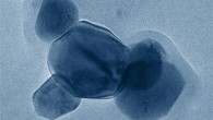 Inhaled and ingested titanium dioxide particles enter the bloodstream, are inflammatory and are phagocytized by macrophages and neutrophils. Image credit: Heller et al, doi: 10.1021/acs.chemrestox.8b00047.