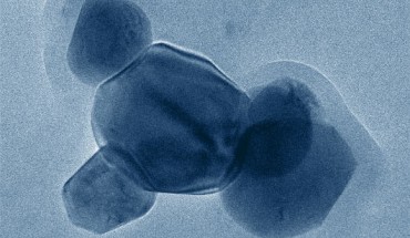 Inhaled and ingested titanium dioxide particles enter the bloodstream, are inflammatory and are phagocytized by macrophages and neutrophils. Image credit: Heller et al, doi: 10.1021/acs.chemrestox.8b00047.