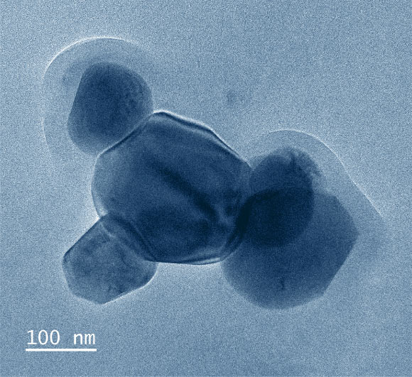 Inhaled and ingested titanium dioxide particles enter the bloodstream, are inflammatory and are phagocytized by macrophages and neutrophils. Image credit: Heller et al, doi: 10.1021/acs.chemrestox.8b00047.
