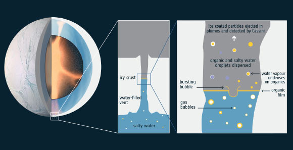Left: the interior of Saturn’s moon Enceladus. The graphic shows the icy crust, which is thinner in the polar regions, below which sits an ocean. The moon has a porous rocky core. Water percolating into the core is warmed by contact with rock in the tidally heated interior. The heated water enters the ocean at hydrothermal vents located beneath the poles. Complex organics and rocky particles are entrained in the hydrothermal flow. Gas bubbles rising through the ocean collect organic material at their surface and transport them upward to the ice shell. Center: the oceanic water table lies inside cracks in the south polar ice crust. Bubbles of gas help bring organic material to the ocean surface, where it creates a thin film in the icy vents. Right: when the bubbles burst at the surface they disperse some of the organics, along with a spray of salty ocean water. Droplets of the dispersed organic material become ice-coated when water vapor freezes on their surface, and along with the frozen spray of salty ocean water, are ejected in the plumes and then detected by Cassini. Image credit: ESA / F. Postberg et al.
