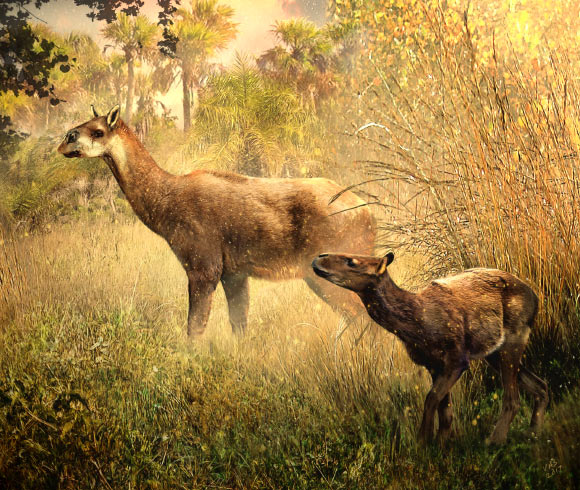 Theosodon arozquetai (left) and Llullataruca shockeyi. Image credit: Velizar Simeonovski.