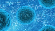 The ‘mosaic’ vaccine candidate protected against infection with an HIV-like virus in rhesus macaques.
