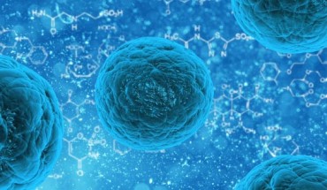The ‘mosaic’ vaccine candidate protected against infection with an HIV-like virus in rhesus macaques.
