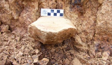 The 2.12-million-year-old stone artifact at the Shangchen site, China. Image credit: Zhaoyu Zhu.