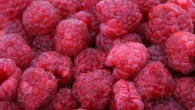 Consumption of dietary achievable amounts of red raspberries improves endothelial function up to 24 h and ellagitannins may be responsible for the observed effect. Image credit: Robert Owen-Wahl.