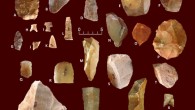 Stone tool assemblage recovered from the Gault site, Texas: (A to D, F, and L) bifaces; (E) blade core; (G) quartz projectile point; (H and I) projectile points; (K) projectile point tip; (M, V, and W) blade; (N) unifacial tool; (O and T) gravers; (P) discoidal biface; (Q) end scraper; (R to U) modified flake tools; (X and Y) lanceolate projectile points. Image credit: N. Velchoff / Gault School of Archaeological Research.