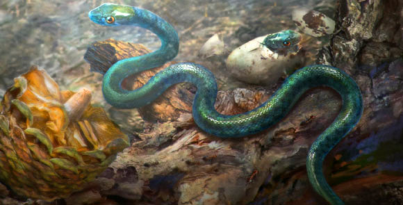 Xiaophis myanmarensis lived in a forest environment in what is now Myanmar. Image credit: Cheung Chung Tat.