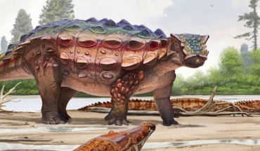Life reconstruction of Akainacephalus johnsoni. Image credit: Andrey Atuchin, Denver Museum of Nature & Science.