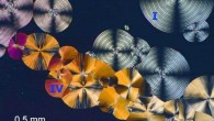 Micrograph of aspirin polymorphs. Image credit: Chunhua Tony Hu.