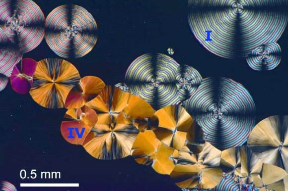Micrograph of aspirin polymorphs. Image credit: Chunhua Tony Hu.