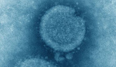 This transmission electron microscopic (TEM) image captured some of the ultrastructural details exhibited by the influenza A (H7N9) virus. Image credit: Cynthia S. Goldsmith & Thomas Rowe, CDC.