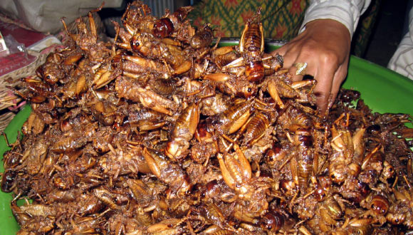 Deep-fried crickets on sale in Cambodia. Image credit: Thomas Schoch / CC BY-SA 2.5.