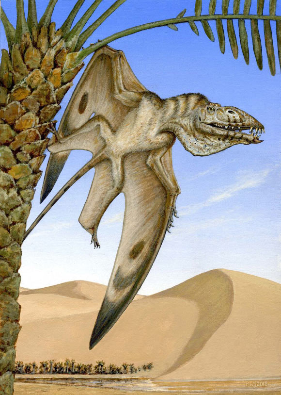 Caelestiventus hanseni. Image credit: Michael Skrepnick / Brigham Young University.