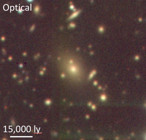 This image shows the newly-discovered galaxy cluster with the central giant elliptical galaxy, which harbors a supermassive black hole. Image credit: Taweewat Somboonpanyakul.