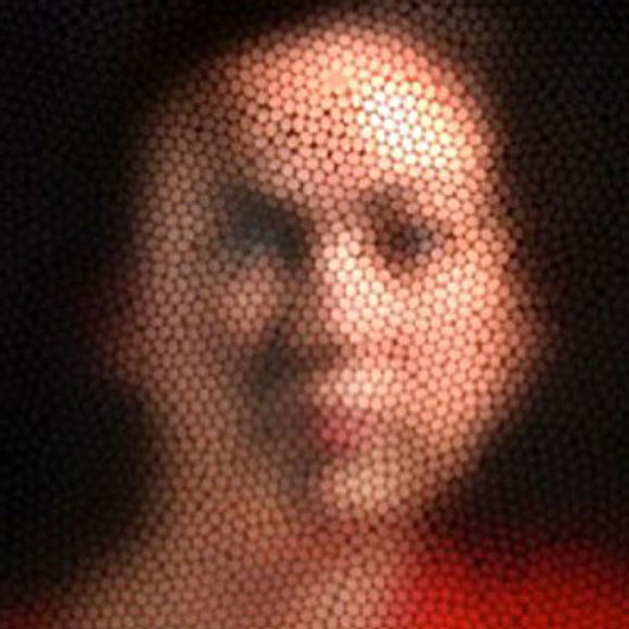 A face shown through a ‘bee eye’ camera. Image credit: A. Dyer & S. Williams, RMIT.