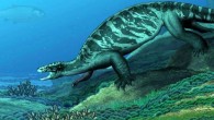 An artist’s depiction of Eorhynchochelys sinensis as it would have appeared in life 228 million years ago in China. Image credit: Institute of Vertebrate Paleontology and Paleoanthropology, Chinese Academy of Sciences.