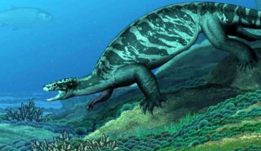 An artist’s depiction of Eorhynchochelys sinensis as it would have appeared in life 228 million years ago in China. Image credit: Institute of Vertebrate Paleontology and Paleoanthropology, Chinese Academy of Sciences.