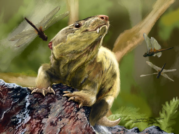 An artist’s impression of a cynodont. Image credit: Jorge Blanco / A.G. Martinelli / M.B. Soares / C. Schwanke / CC BY-SA 4.0.