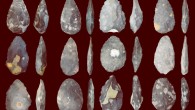 The ‘Early Acheulean’ and ‘Late Acheulean’ handaxes produced by knappers. Image credit: A.J.M. Key & C.J. Dunmore, doi: 10.7717/peerj.5399.