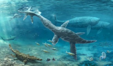 An artist’s impression of Jurassic marine reptiles. Image credit: Nikolay Zverkov.