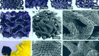 Hensleigh et al developed a new process to 3D print graphene structures. Image credit: Hensleigh et al, doi: 10.1039/C8MH00668G.
