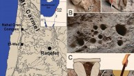 (A) the location of Raqefet Cave and three additional Natufian sites in Mt. Carmel, Israel; (B) field photos of the studied boulder mortars (BM 1, 2) and the location of BM3 on the cave floor; scale bar and arrow - 20 cm; (C) a functional reconstruction of the mortars: a boulder mortar used to store plants in a basket with a stone slab on top, and a bedrock mortar used for pounding and cooking plants and brewing beer. Image credit: Dror Maayan / Anat Regev-Gisis.