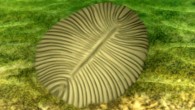 Dickinsonia, which lived more than 550 million years ago, were flat, soft-bodied creatures that moved along the sea bed to eat microbes and algae. Image credit: University of California, Riverside.