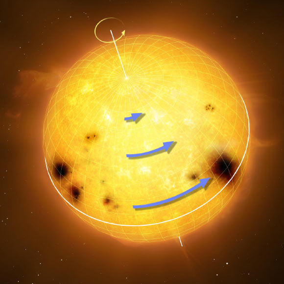 Sun-like stars rotate differentially, with the equator rotating faster than the higher latitudes. The blue arrows in the figure represent rotation speed. Differential rotation is thought to be an essential ingredient for generating magnetic activity and starspots. Image credit: MPI for Solar System Research / MarkGarlick.com.