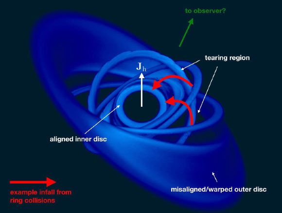 Characteristic disk structure from the simulation of a misaligned disk around a spinning black hole. The outermost regions are warped and remain misaligned. Inside this, several rings have broken free and are freely precessing through the Lense-Thirring effect. The innermost material has fallen from the shocks that occur between rings, and is aligned to the central black hole spin (it is the misaligned component of angular momentum that is cancelled in the shocks – and transferred to the hole through precession). Depending on the observer’s line of sight, the infalling matter may or may not obscure the central emitting regions. Note that the black hole spin vector is drawn as an arrow up the page, but this is the projection on to the page. The black hole spin vector points out towards the reader as well as in the direction drawn, such that the vector is normal to the innermost ring of gas. Image credit: K.A. Pounds et al / University of Leicester.