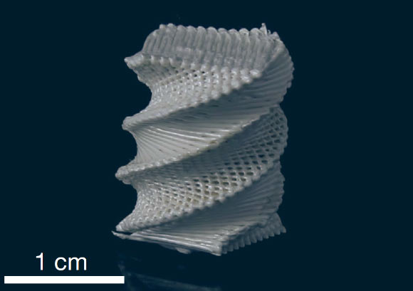 An example of 3D-printed LCP part with complex fiber architecture and geometry: an impact-resistant Bouligand-type structure with twisted plywood arrangement of printed fibers. Image credit: Gantenbein et al, doi: 10.1038/s41586-018-0474-7.