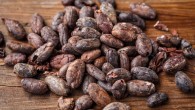 Kühn et al show that cocoa beans from different growing regions contain vitamin D2.