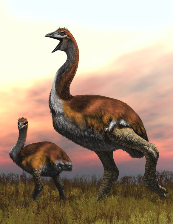 An artist’s illustration of a giant elephant bird. Image credit: Jaime Chirinos.