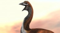An artist’s illustration of a giant elephant bird. Image credit: Jaime Chirinos.