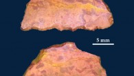 Pleistocene backed artifact dated to 43,000 years ago showing evidence of use on its working edge: ventral and dorsal surfaces. Image credit: McDonald et al, doi: 10.1371/journal.pone.0202511.
