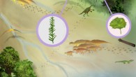 An illustration of the finds made by Jud et al. Image credit: Sae Bom Ra, Adelphi University.