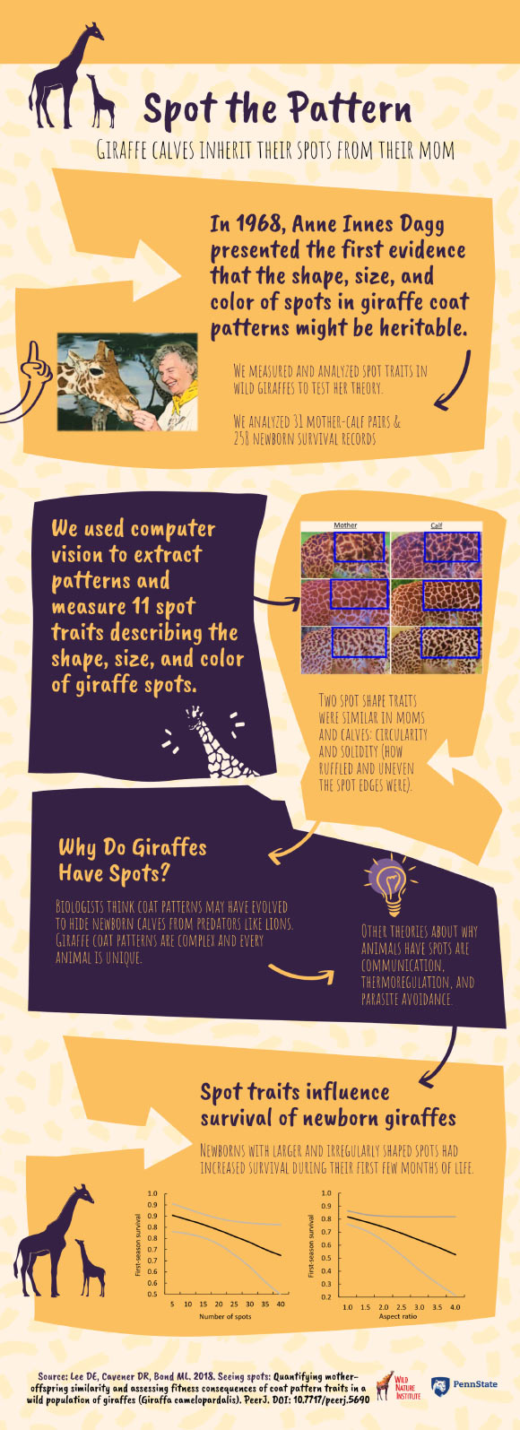 Lee et al used modern image software and statistical methods to confirm a 49-year-old hypothesis that giraffes pass on features of their spot patterns to their offspring. Image credit: Pennsylvania State University.