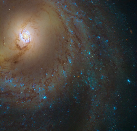 This Hubble image reveals a detailed view of part of the spiral galaxy Messier 95. Image credit: NASA / ESA / Hubble.