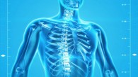 Vitamin D supplementation does not prevent fractures or falls, or improve bone mineral density.