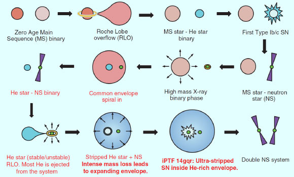 Stellar evolutionary sequence leading from a binary system of massive stars -- starting from the top left -- to a neutron star binary system. Image credit: De et al, doi: 10.1126/science.aas8693.