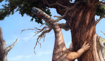 Life restoration of Sarahsaurus aurifontanalis. Image credit: Brian Engh, www.dontmesswithdinosaurs.com.