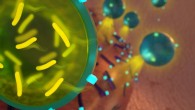 Li et al devised a way to encapsulate probiotics so that they can be delivered along with antibiotics to kill multiple strains of bacteria. Image credit: Ryan Allen.