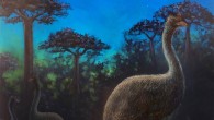 An artist’s interpretation of elephant birds foraging in the ancient forests of Madagascar at night. Image credit: John Maisano / University of Texas at Austin Jackson School of Geosciences.