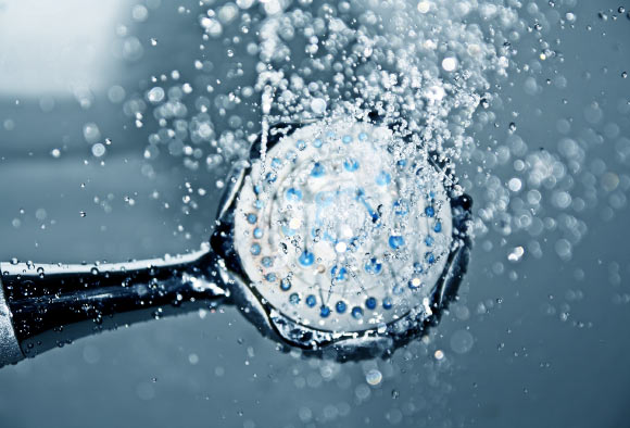Mycobacteria are frequently abundant in showerheads, and many showerheads harbor mycobacterial lineages that include known pathogens.