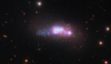 This Hubble image shows the blue compact dwarf galaxy ESO 338-4. Image credit: NASA / ESA / Hubble.