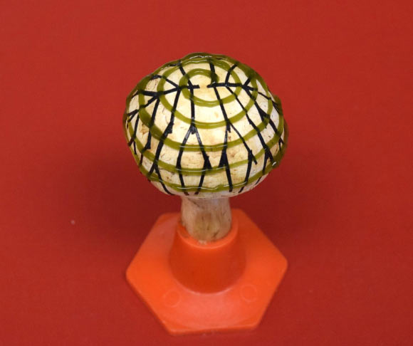 A bionic mushroom. Image credit: Joshi et al, doi: 10.1021/acs.nanolett.8b02642.