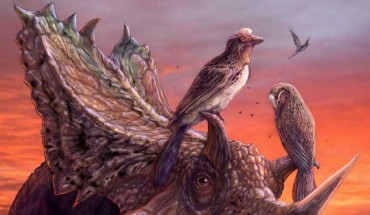 A reconstruction of Mirarce eatoni perched on the horns of the ceratopsian dinosaur Utahceratops gettyi. Image credit: Brian Engh, dontmesswithdinosaurs.com.