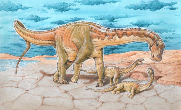 Lavocatisaurus agrioensis. Image credit: Canudo et al, doi: 10.4202/app.00524.2018.