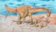 Lavocatisaurus agrioensis. Image credit: Canudo et al, doi: 10.4202/app.00524.2018.