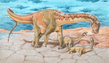 Lavocatisaurus agrioensis. Image credit: Canudo et al, doi: 10.4202/app.00524.2018.