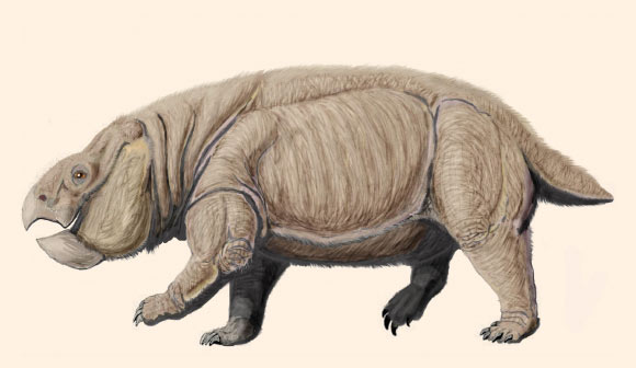 Lisowicia bojani. Image credit: Dmitry Bogdanov / CC BY 3.0.